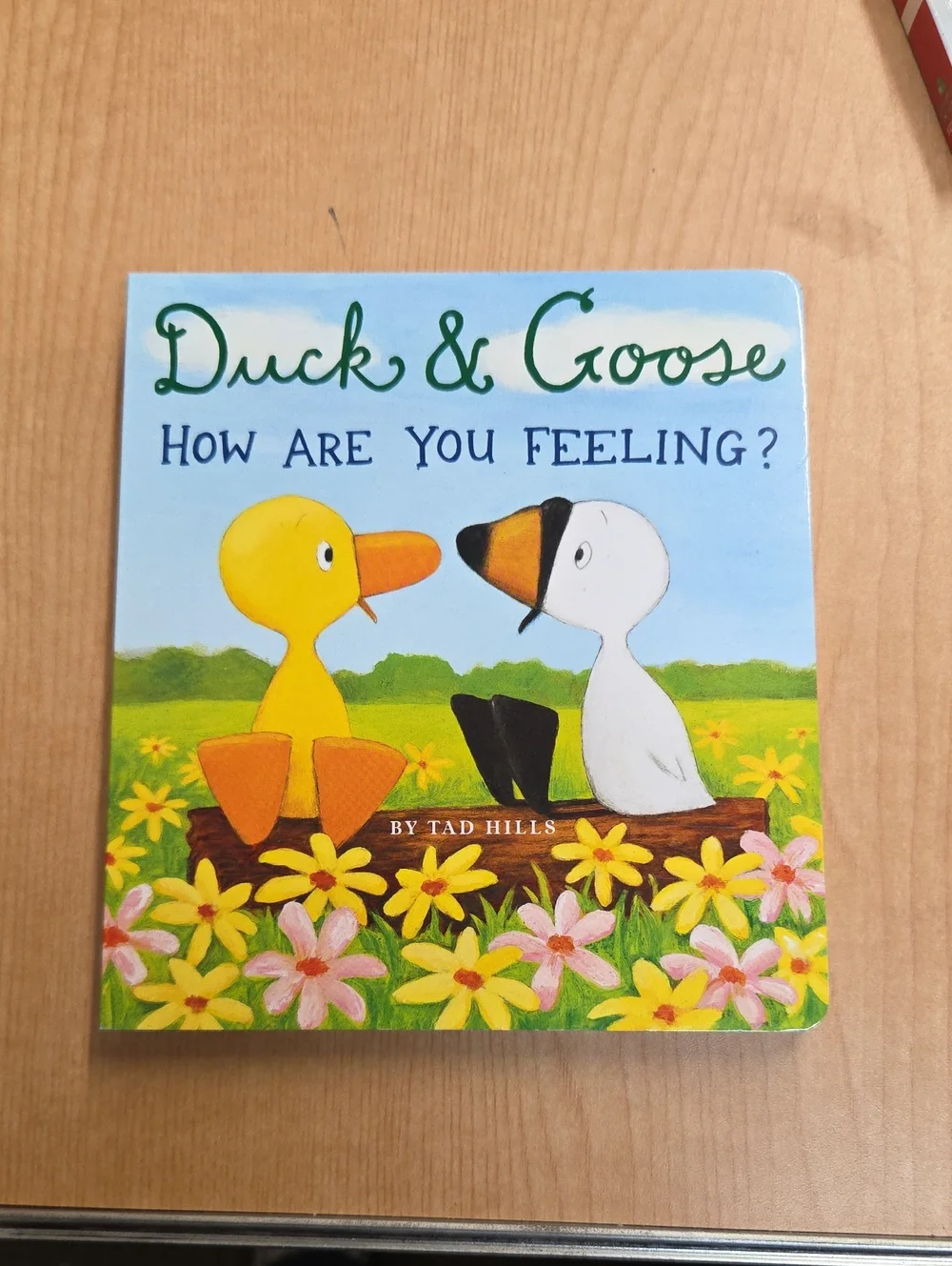 Set of 4 Duck & Goose board books by Tad‎ Hills